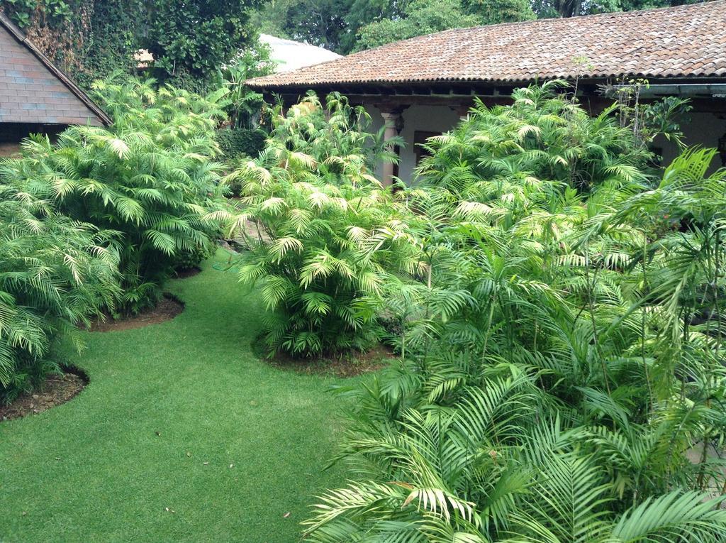 ホテルHacienda San Pedro Uruapan  エクステリア 写真